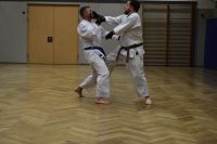 Bilder_2025 (49)